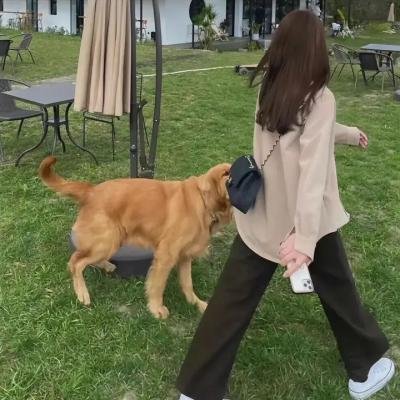 提特菲德事件