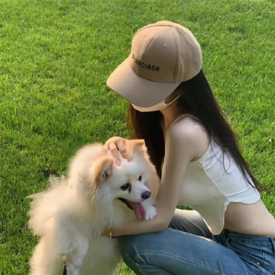 纽约鸟王